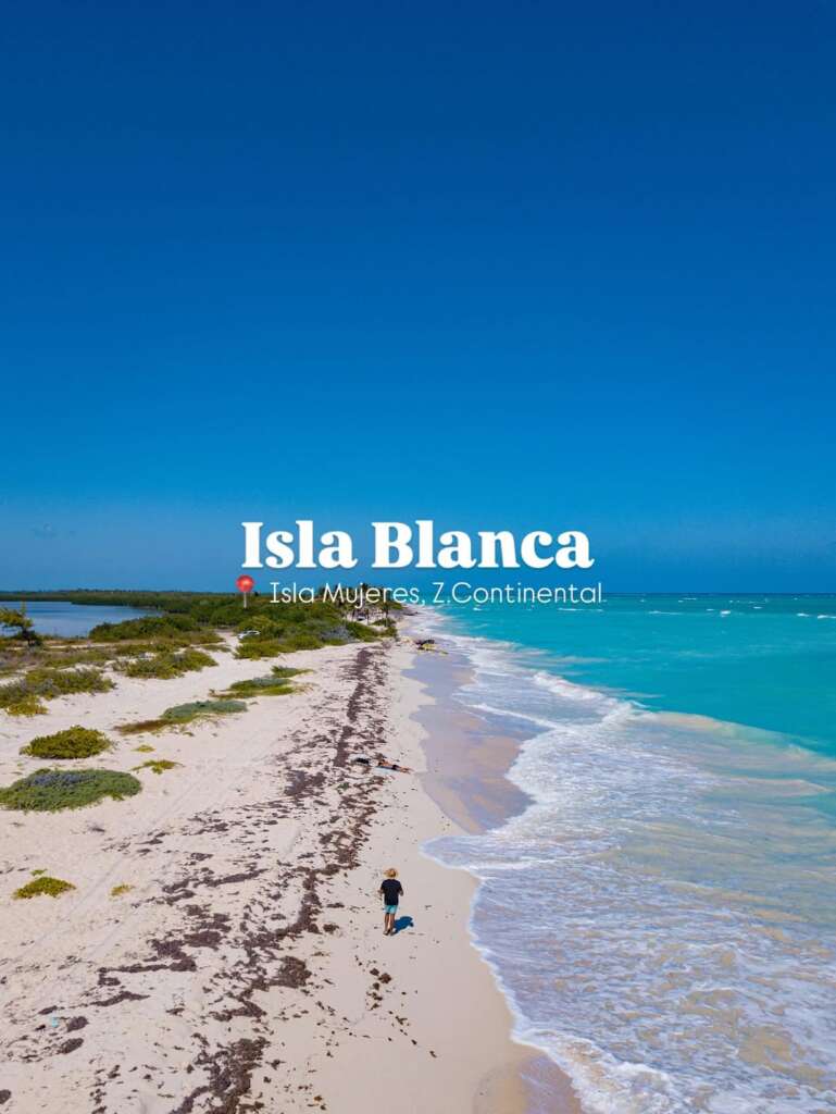 Las mejores playas sin sargazo en el Caribe Mexicano